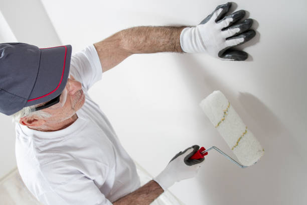 Best Mold Prevention Services  in June Park, FL