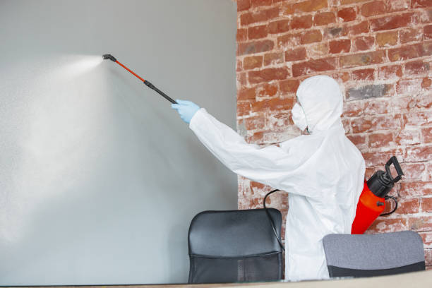 Dehumidification Services in June Park, FL