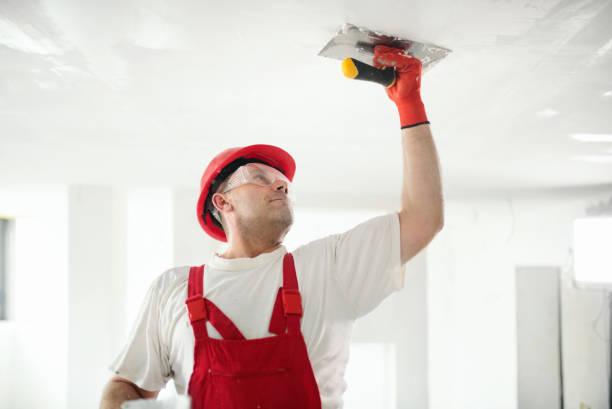 Trusted June Park, FL Mold Removal Experts